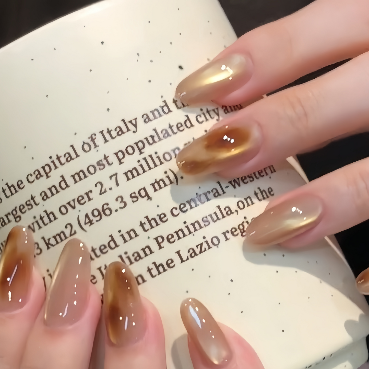 アンバーブラウン×シアーグラデーション｜艶めく琥珀ニュアンスネイルチップ [na0053]